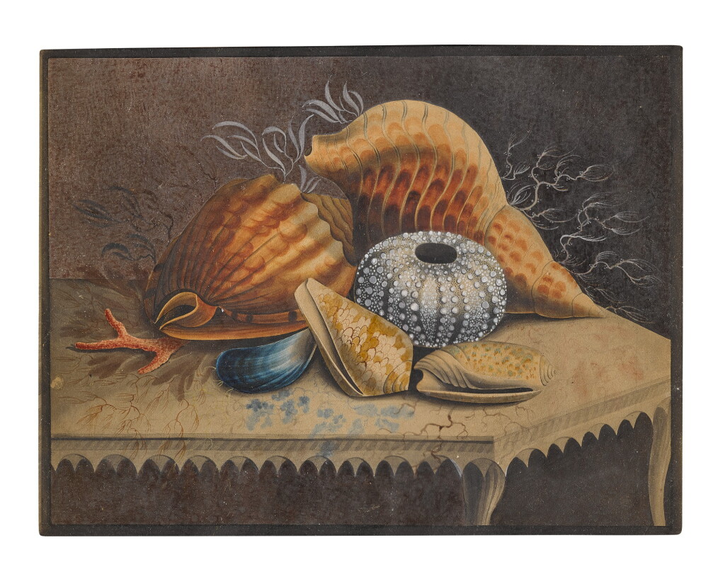 View full screen - View 1 of Lot 94. Still life of shells on a table.
