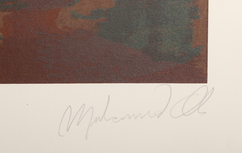Cover image 0