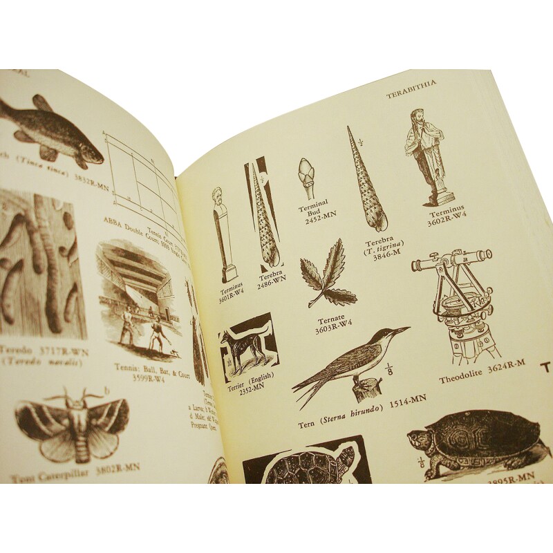 Cover image 0