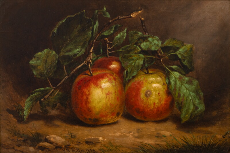 Cover image 0