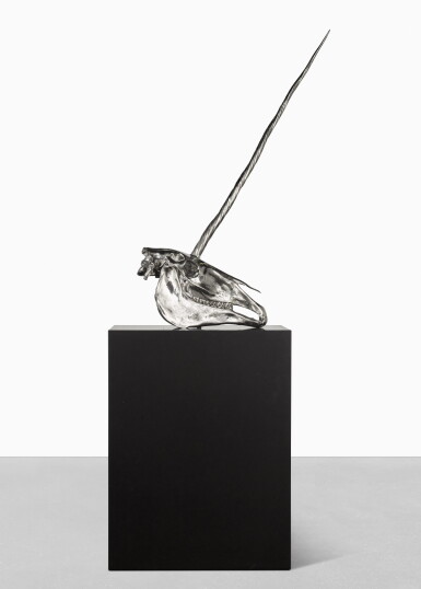View full screen - View 1 of Lot 149. Skull of a Unicorn.