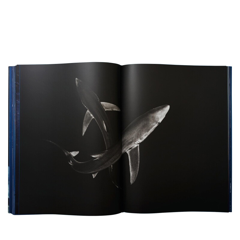 Cover image 0