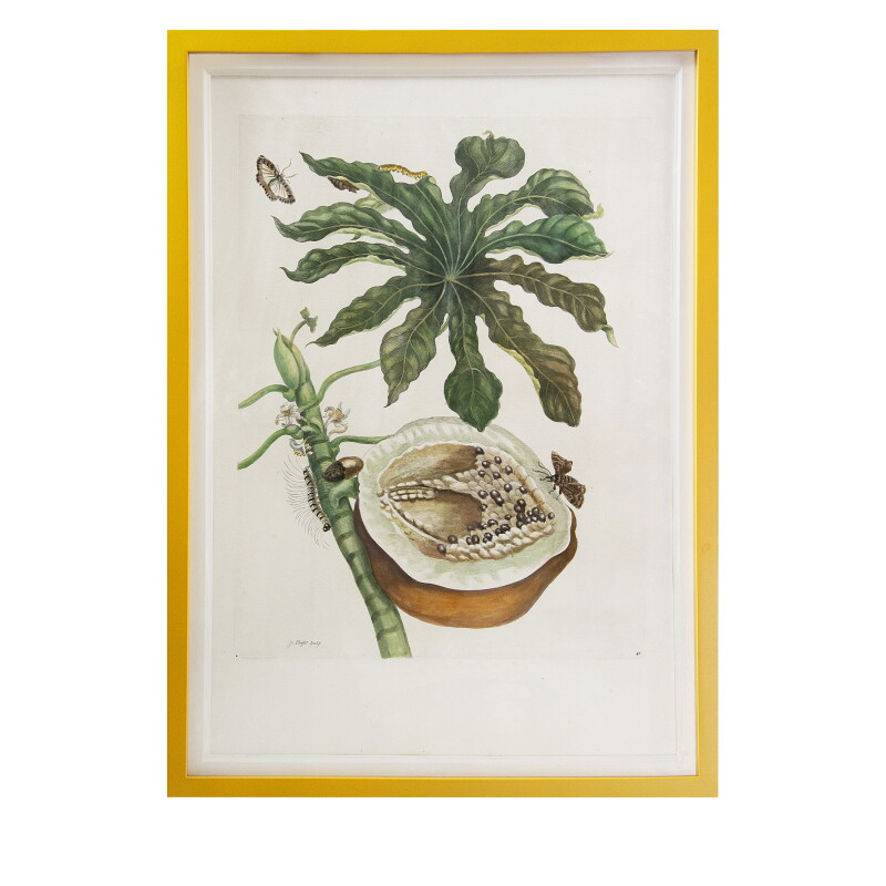 Cover image 0