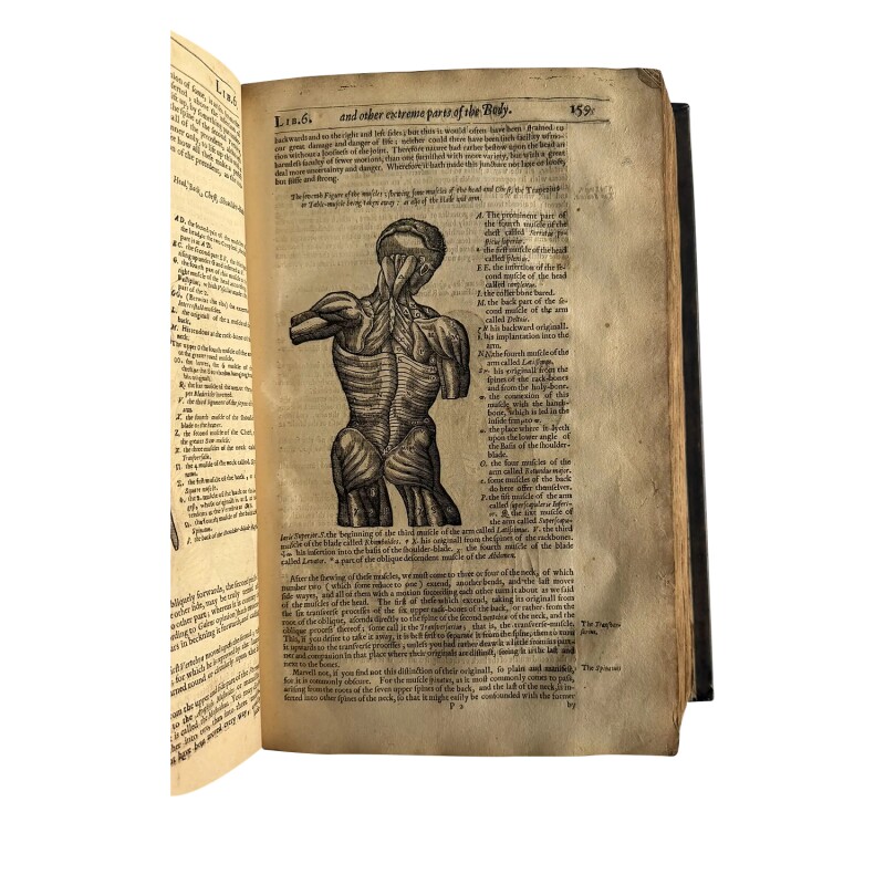 Cover image 0