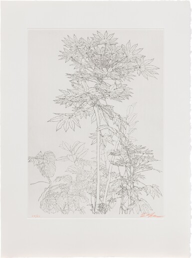 View full screen - View 1 of Lot 375. Plantes I.