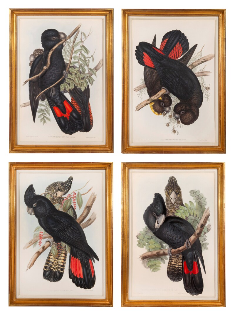 Cover image 0