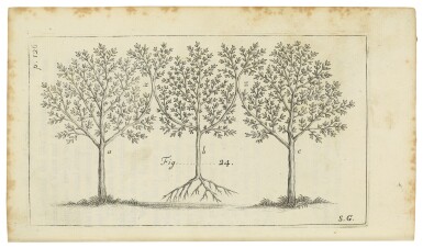 Source: Sotheby's Image