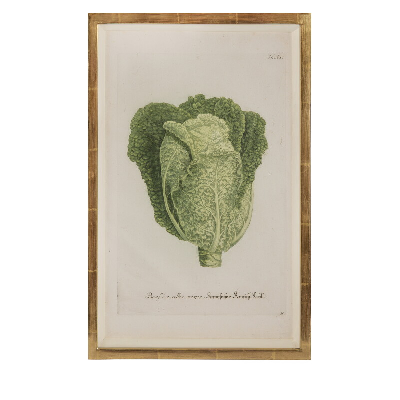 Cover image 0
