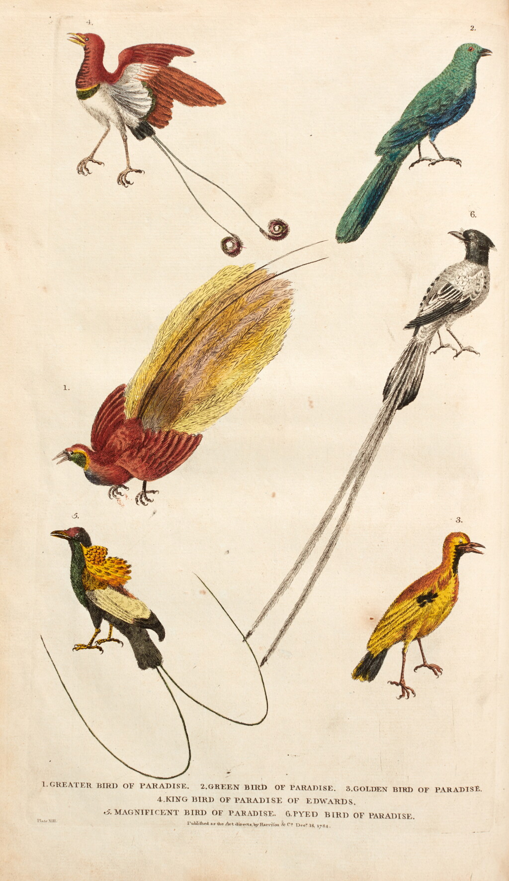 View full screen - View 1 of Lot 72. William Frederic Martyn | A new dictionary of natural history, London, 1785, 2 volumes, contemporary calf.