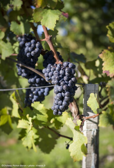 View full screen - View 1 of Lot 375. Château de Bel-Air 2015 (6 MAG).