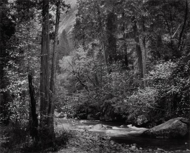 View full screen - View 1 of Lot 9. ‘Tenaya Creek, Dogwood, Rain, Yosemite Valley, California’.