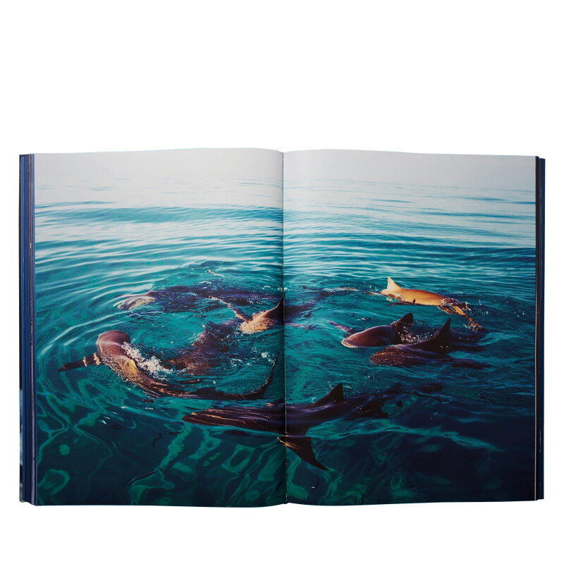Cover image 0