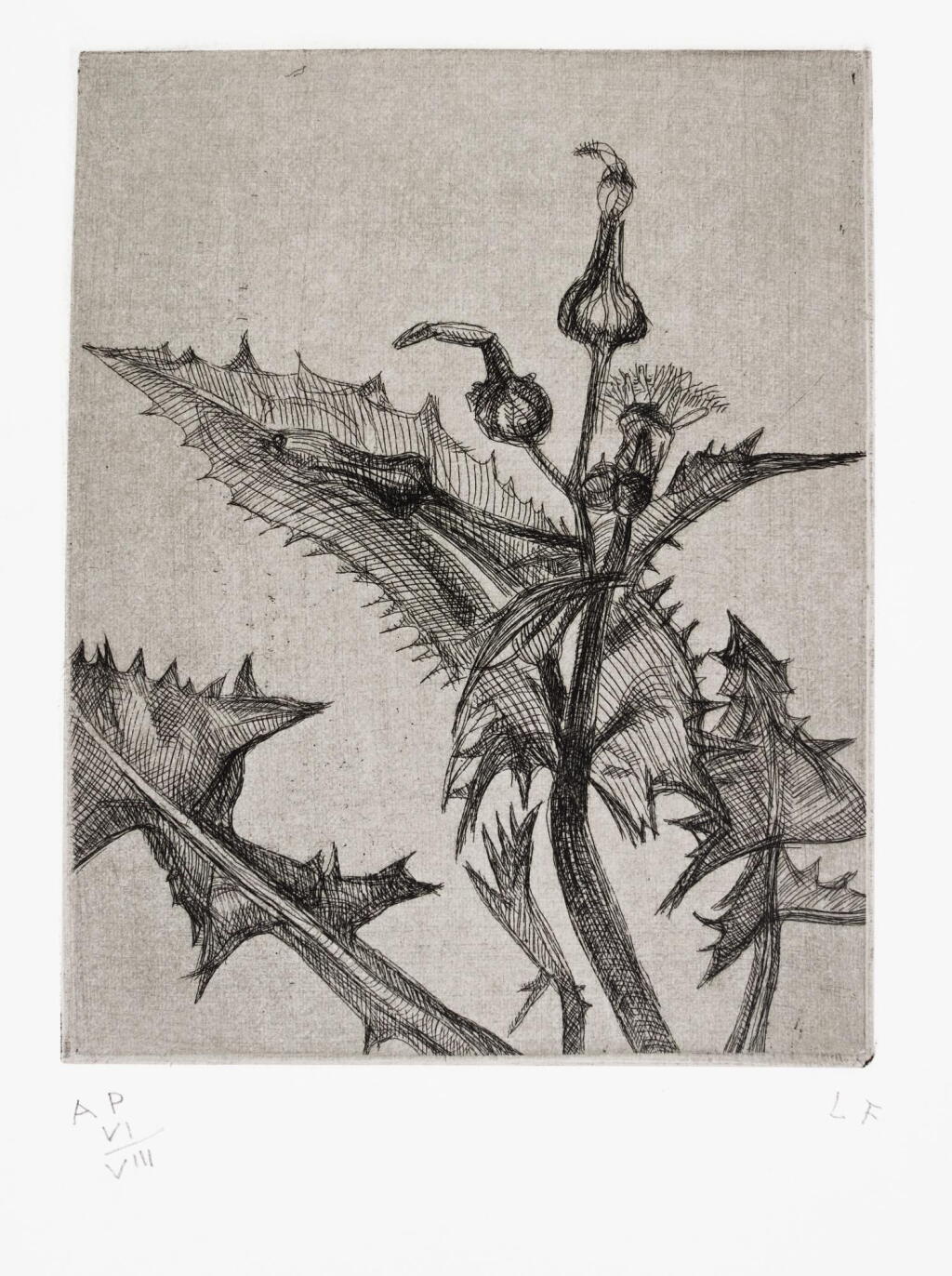 View full screen - View 1 of Lot 129. LUCIAN FREUD | THISTLE (H. 23).