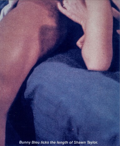 View full screen - View 1 of Lot 247. Untitled (Bunny Bleu).