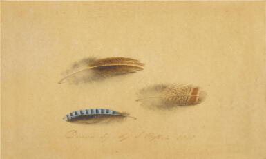 View full screen - View 1 of Lot 65. Beffin, Sarah | A charming rendering of feathers from the accomplished armless artist.