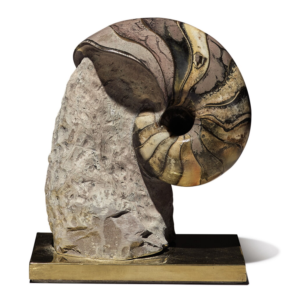 View full screen - View 1 of Lot 89. A FINE NAUTILUS FOSSIL.