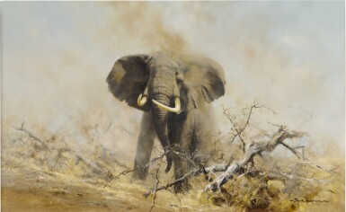 View full screen - View 1 of Lot 254. King of the Plains.