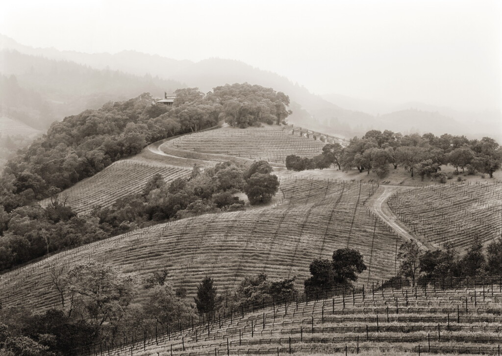View full screen - View 1 of Lot 15. HARLAN ESTATE, AN INTRODUCTION: 1 X 3 LITRE HARLAN ESTATE 2014, WITH TASTING AT THE WINERY .
