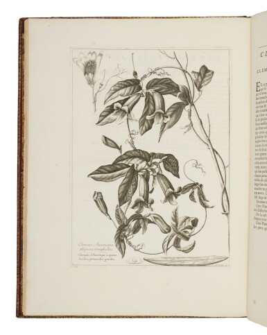 View full screen - View 1 of Lot 15. Dodart, Dionys | "one of the great books in the history of botanical illustration".