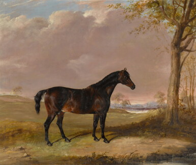 View full screen - View 1 of Lot 35. A black stallion in a landscape.