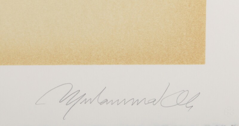 Cover image 0
