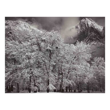 View full screen - View 1 of Lot 49. 'Oaks in Snow, Yosemite Point, Yosemite National Park, California'.