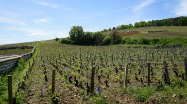 View full screen - View 1 of Lot 197. Clos de Vougeot 1990 Méo-Camuzet (4 BT) .