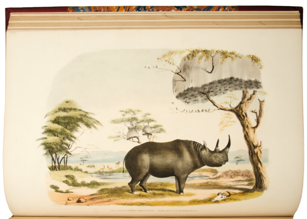 View full screen - View 1 of Lot 71. Harris, Sir William Cornwallis. A fine copy of the large paper issue of one of the most important and valuable of the large folio works on South African fauna.