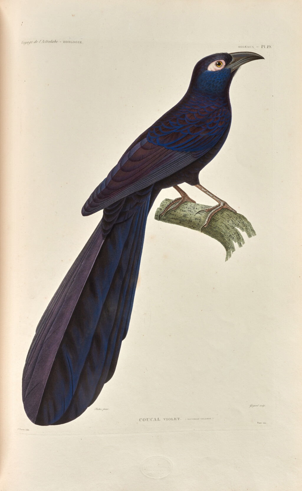 View full screen - View 1 of Lot 316. Jules Dumont d'Urville | Voyage de découvertes de la corvette l'Astrolabe, Paris, 1830-1833, 20 vols, green half morocco.