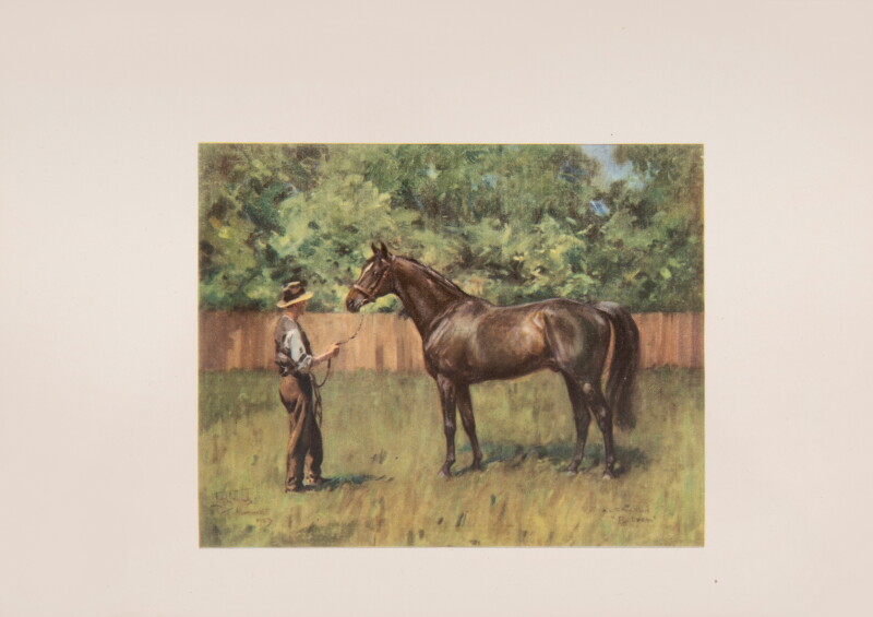 Cover image 0