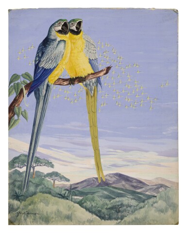 View full screen - View 1 of Lot 34. BLUE-AND-YELLOW MACAWS.