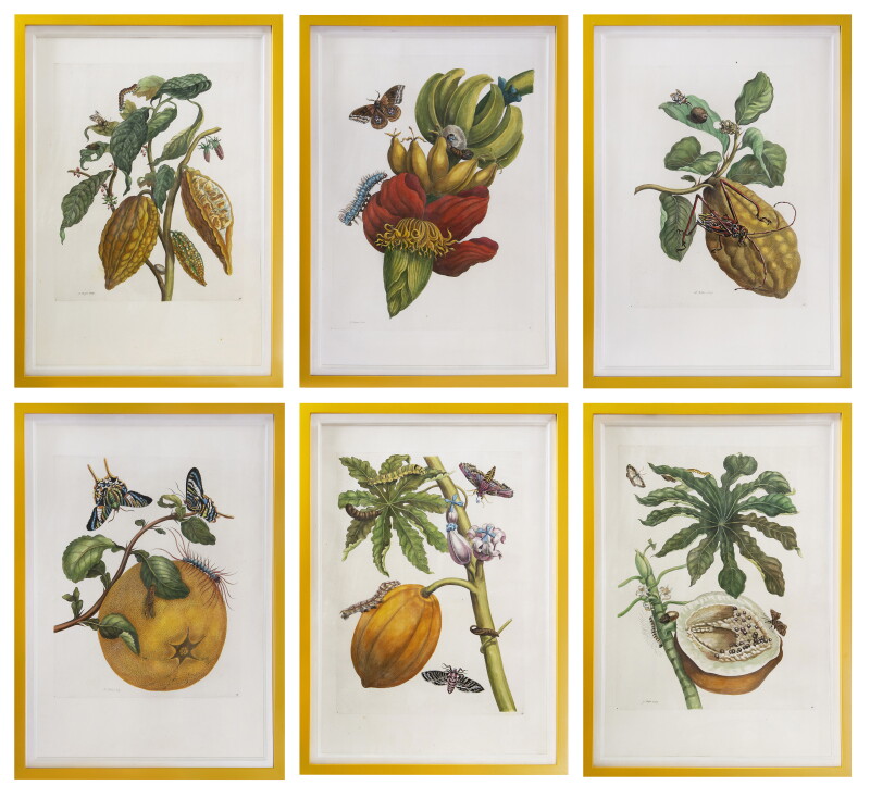 Cover image 0