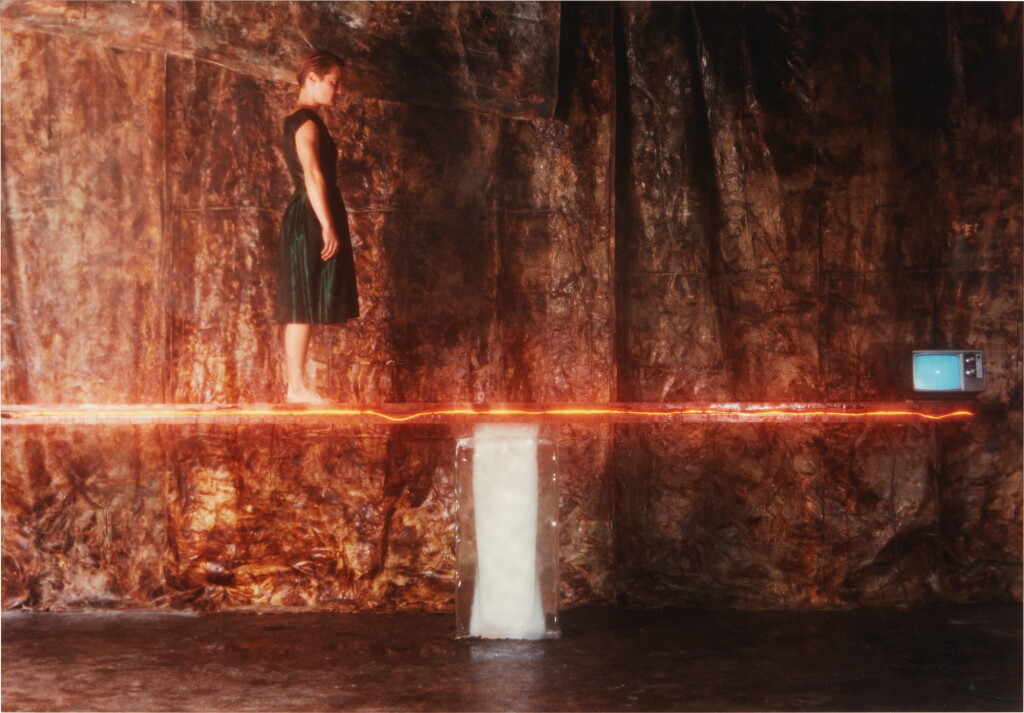 View full screen - View 1 of Lot 73. ANN HAMILTON | THE CHOICE A SALAMANDER GAVE TO HOBSON.