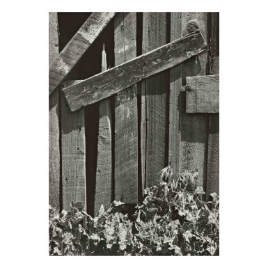 View full screen - View 1 of Lot 95. 'Boards and Thistles'.