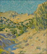 Young Pinons, Santa Clara Canyon