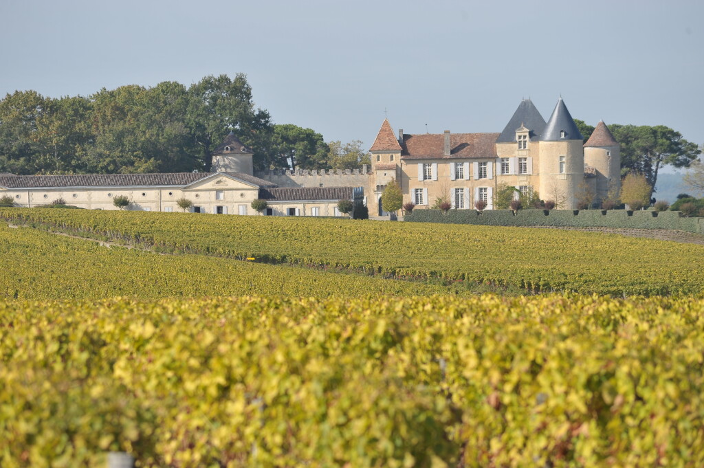 View full screen - View 1 of Lot 113. Château d'Yquem 1983 (8 BT).