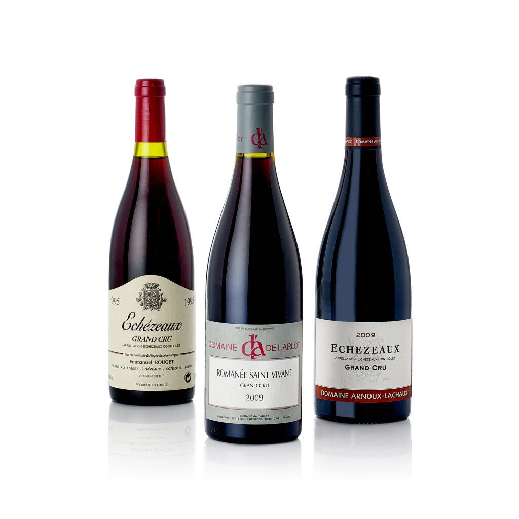 View full screen - View 1 of Lot 7448. Romanée St. Vivant 2009 Domaine de l'Arlot (6 BT).