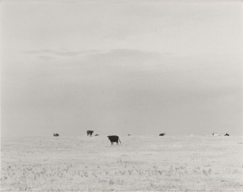 View full screen - View 1 of Lot 81. 'North of Briggsdale, Colo.'.