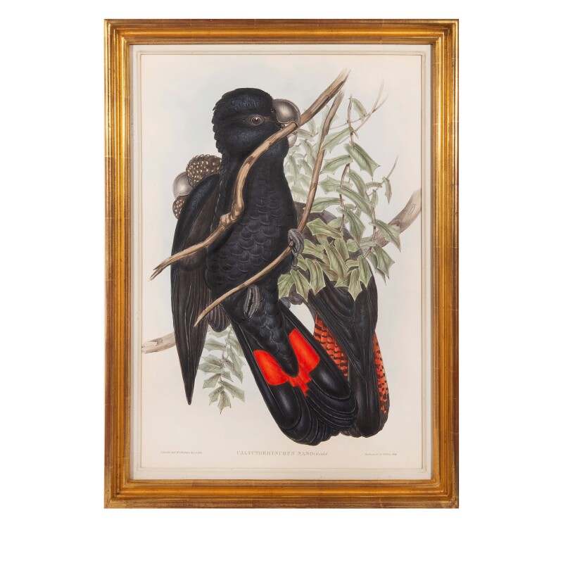 Cover image 0
