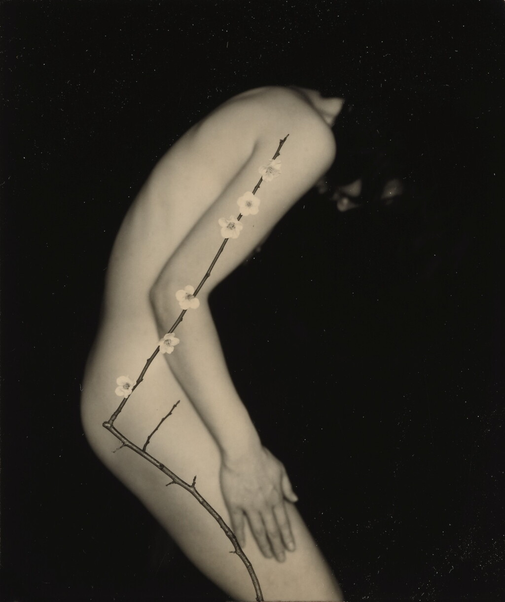 View full screen - View 1 of Lot 7. MASAO YAMAMOTO | 'NAKAZORA #1160'.