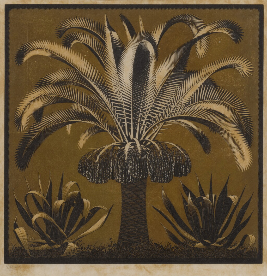 View full screen - View 1 of Lot 93. Palm (Bool/Kist/Locher/Wierda 223).