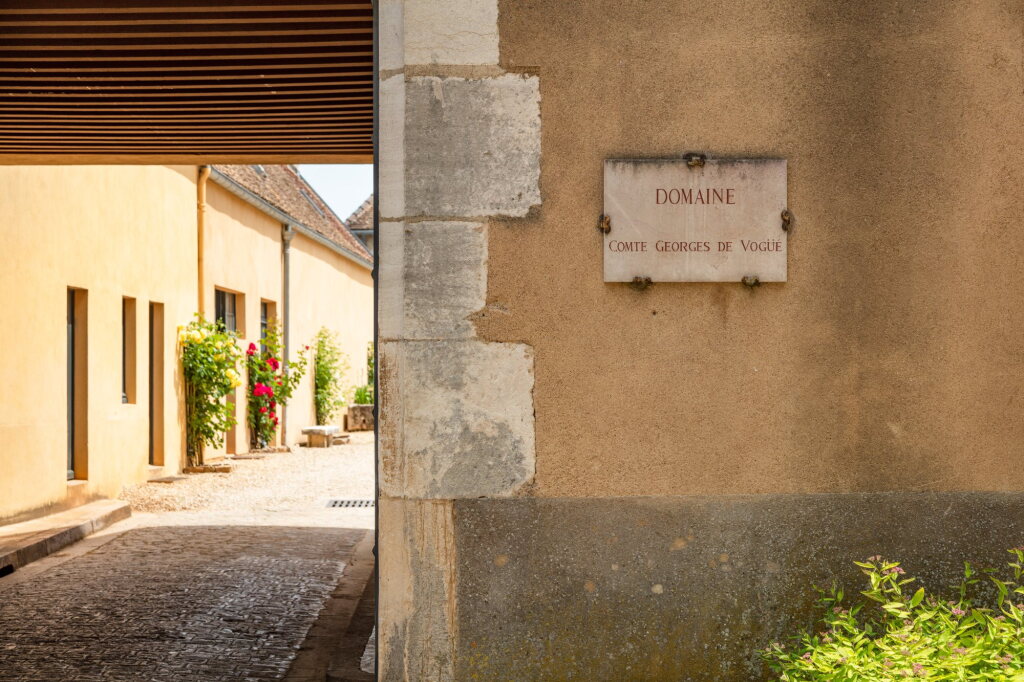 View full screen - View 1 of Lot 445. Bonnes Mares 2018 Comte Georges de Vogüé (1 MAG).