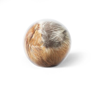 View full screen - View 1 of Lot 294. Untitled.