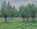 Prairie à Giverny