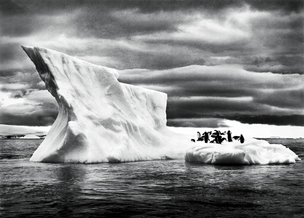 View full screen - View 1 of Lot 119. SEBASTIÃO SALGADO | 'ANTARTICA', 2005.