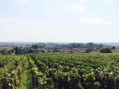 View full screen - View 1 of Lot 486. Volnay, Santenots du Milieu 2010 Domaine des Comtes Lafon (4 BT).