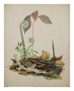 BLUE-TAILED LIZARD