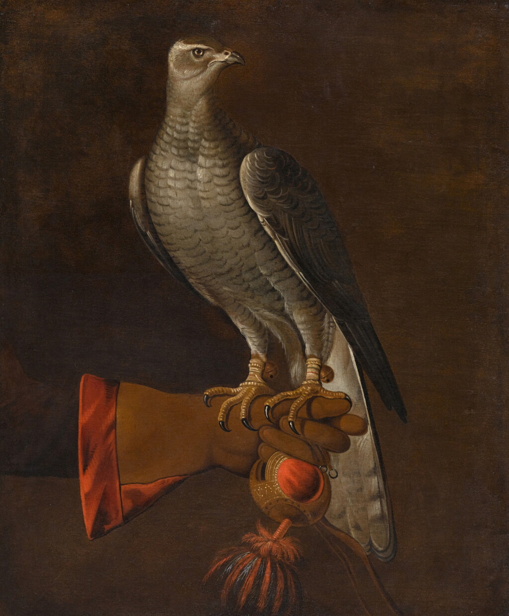 View full screen - View 1 of Lot 325. A goshawk perched on the hand of a falconer.