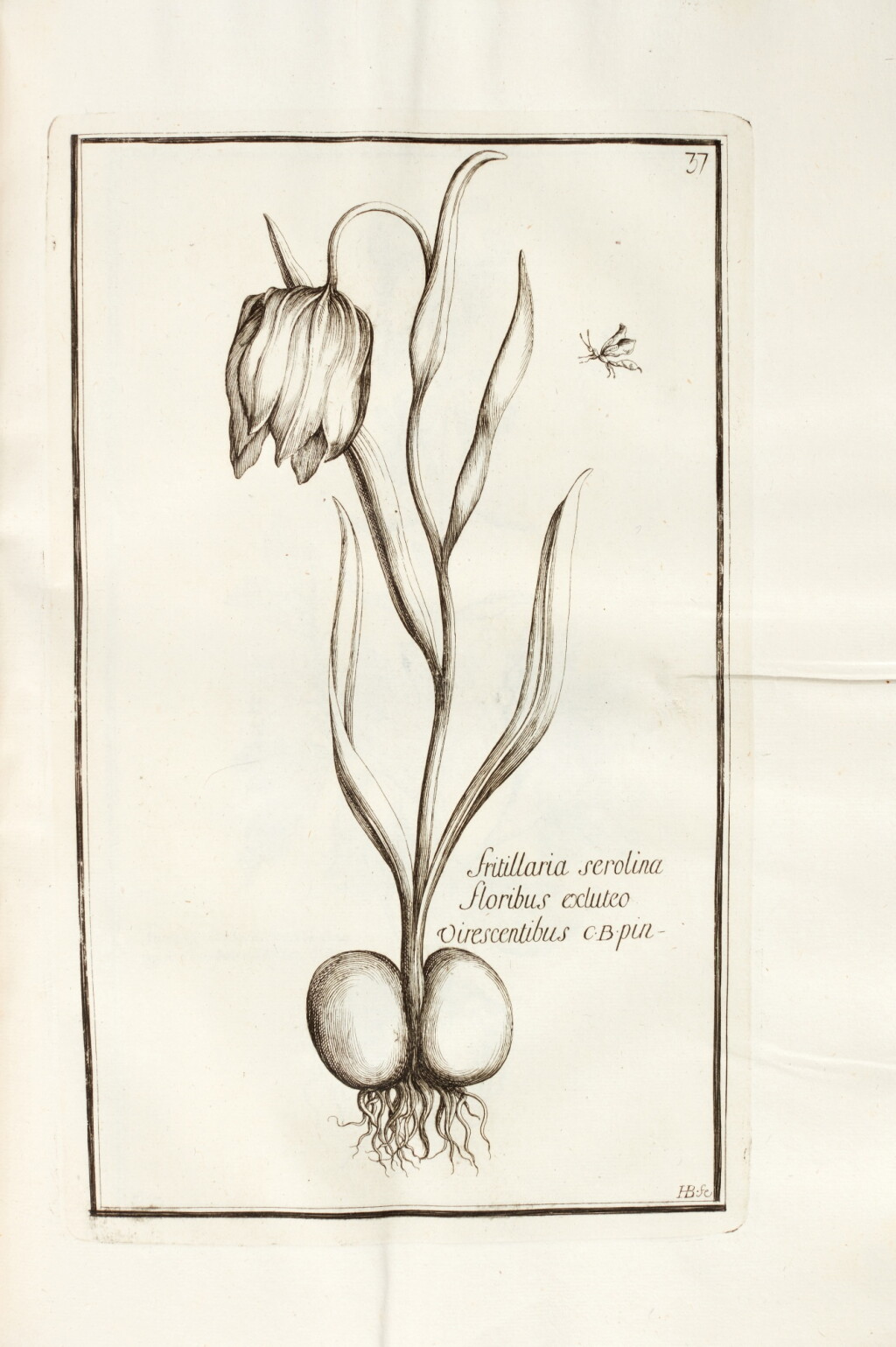 View full screen - View 1 of Lot 338. Pierre-Joseph Garidel | Histoire des plantes qui naissent en Provence, Aix, 1719, contemporary calf.