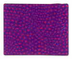 Infinity Nets